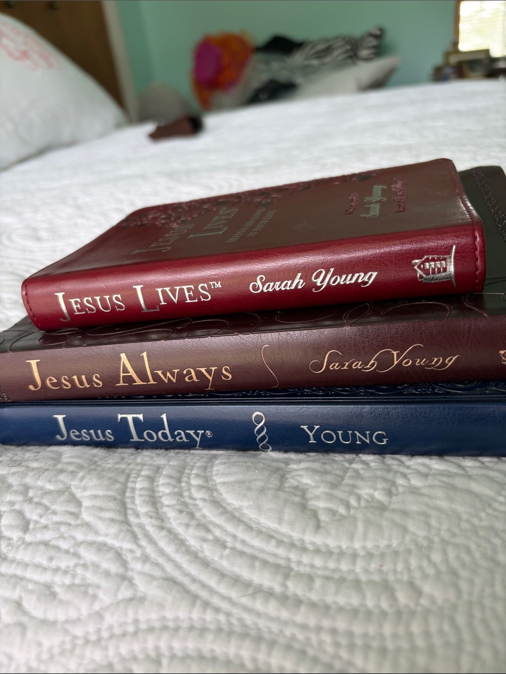 Devotional books (3)